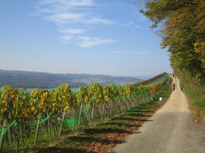 Foto: Jürg Schüpbach